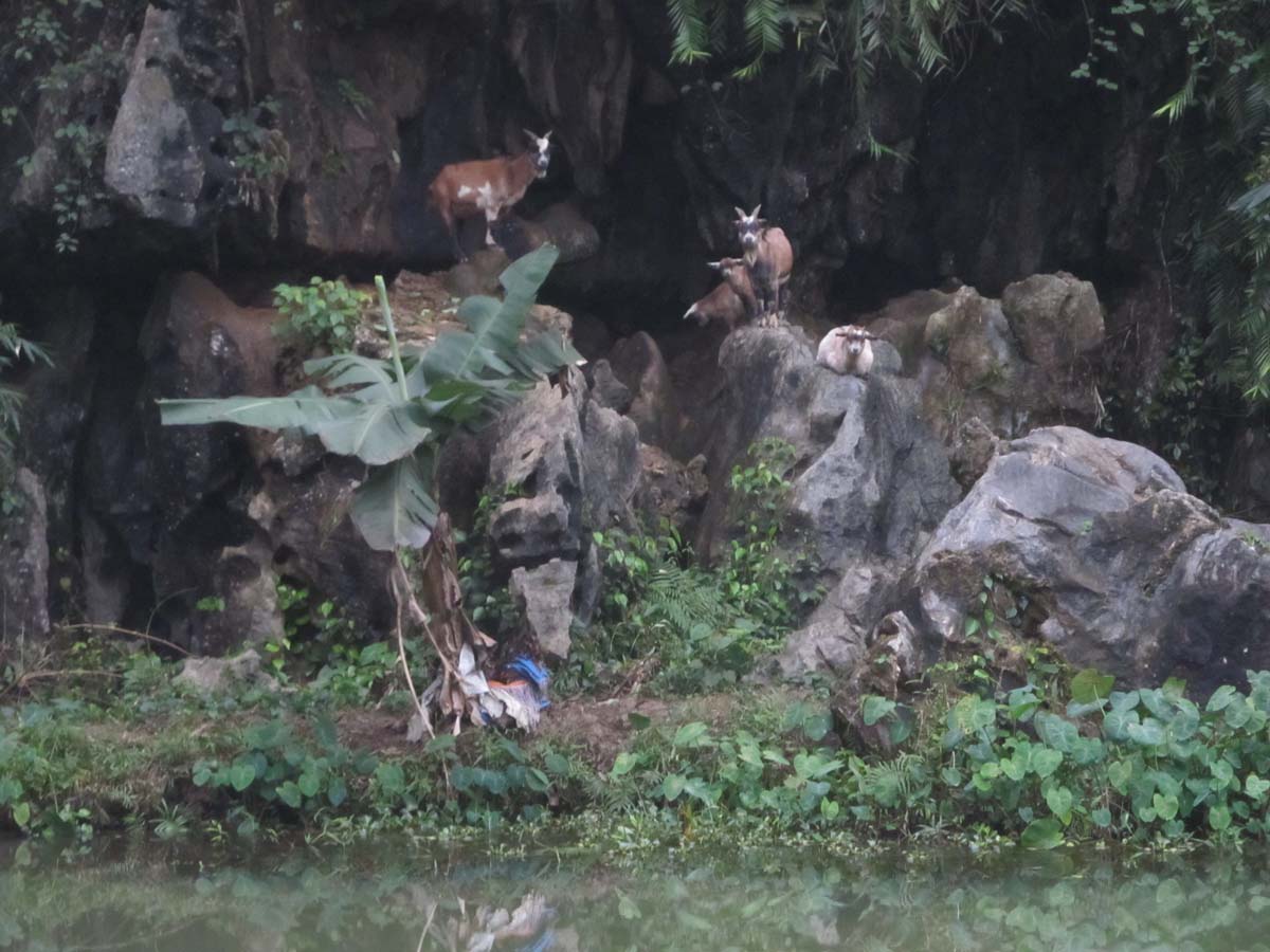 IMG_1364.jpg IMG_1364.jpg