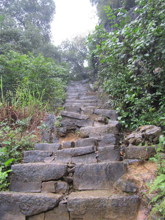 IMG_1399.jpg IMG_1399.jpg